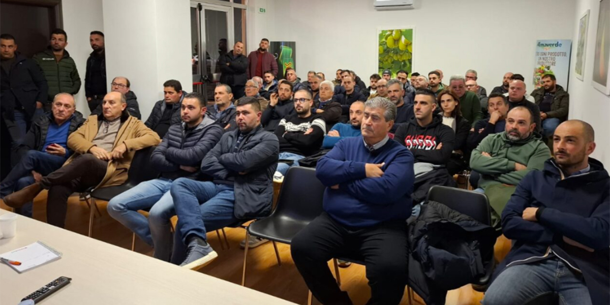 Apofruit: 2025 di innovazione e formazione per i produttori del Sud